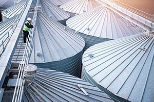 Image of a worker inspecting grain storage bins